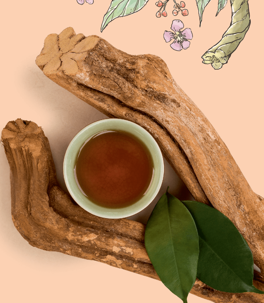cha-ayahuasca cha-ayahuasca
