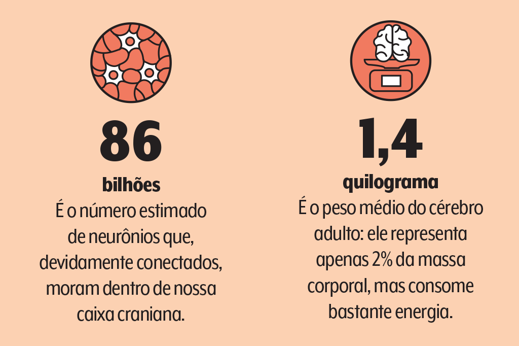 517-zoom-neuronios-dados neuronios-dados