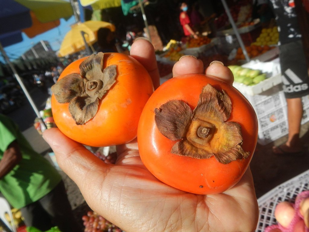 caqui-fruta caqui-fruta