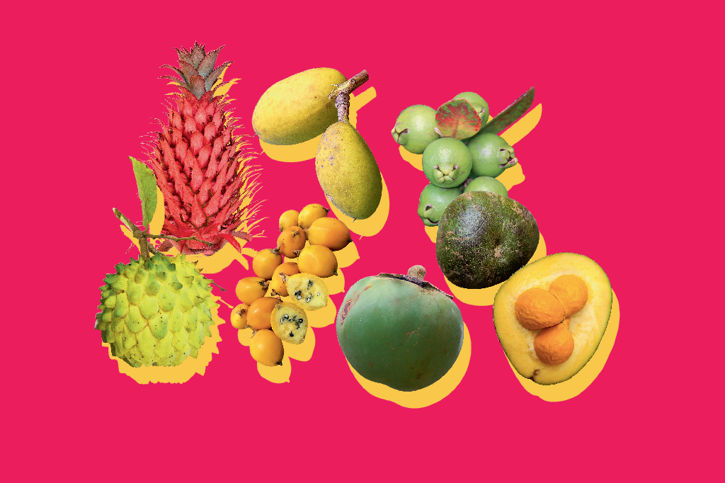 7 frutos do Cerrado que são verdadeiros tesouros para a saúde