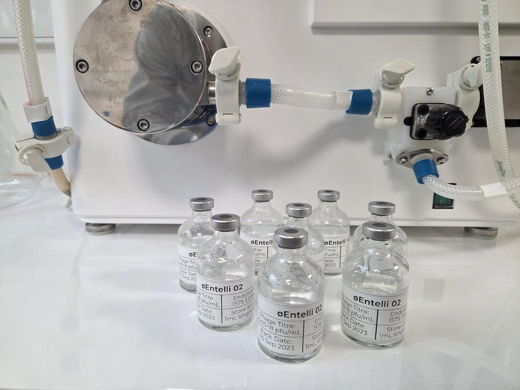 Coquetel de vírus pode ser arma contra superbactérias