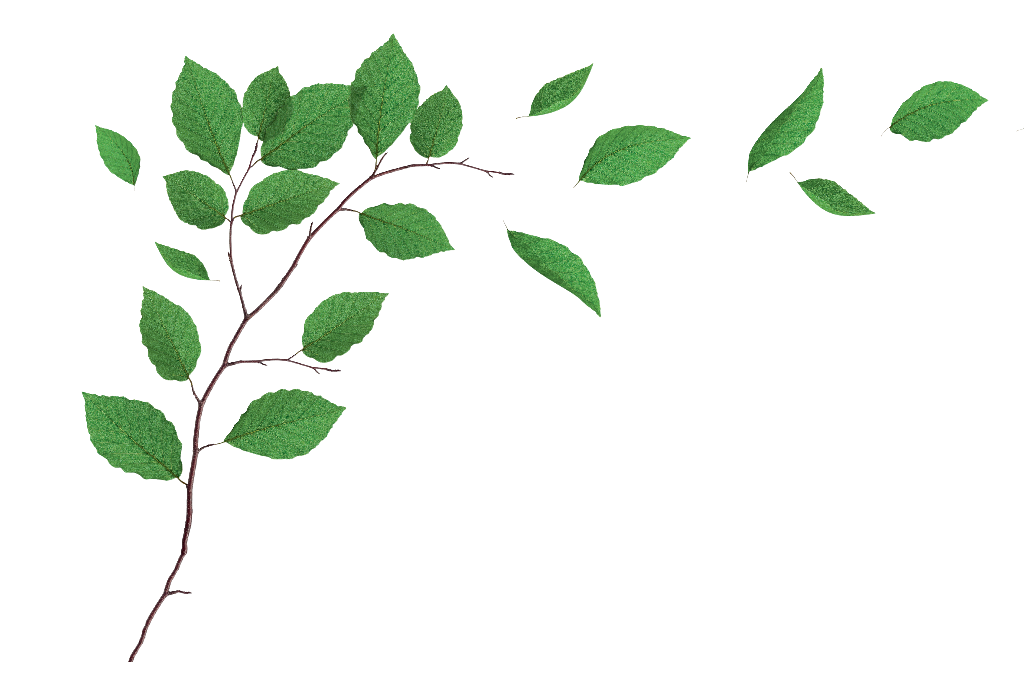 Até as palavras sobre a natureza estão desaparecendo, revela estudo