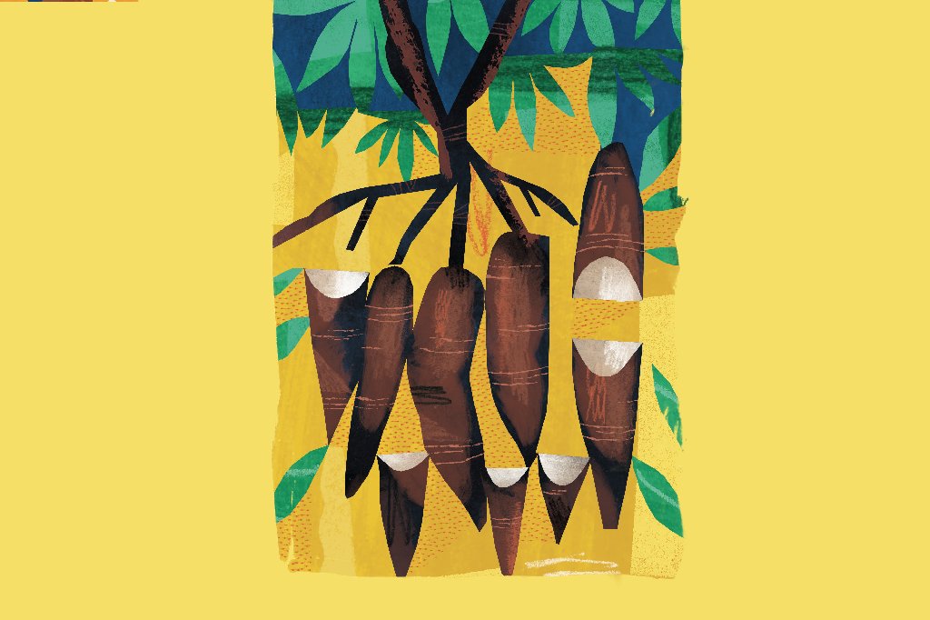 mandioca-beneficios mandioca-beneficios