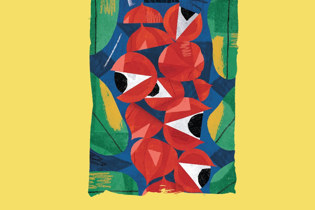 guarana-beneficios guarana-beneficios