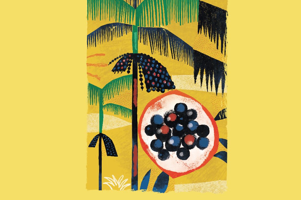 acai-beneficios acai-beneficios