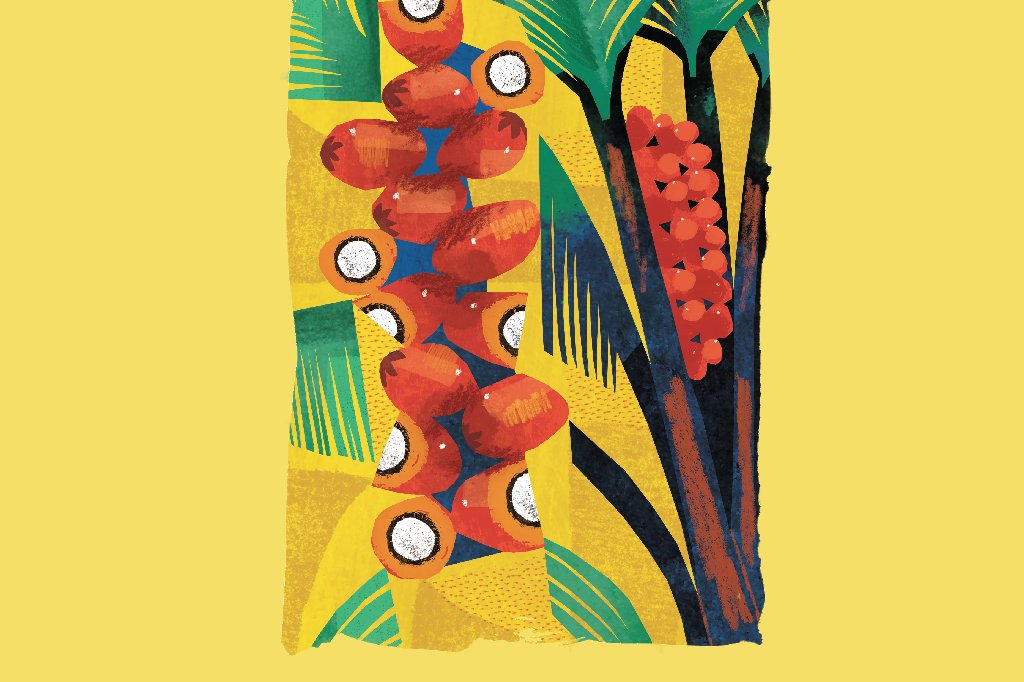 tucuma-beneficios tucuma-beneficios