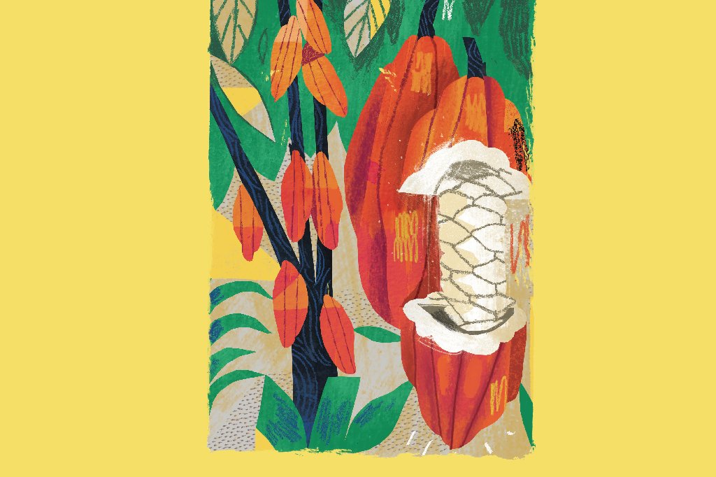 cacau-beneficios cacau-beneficios