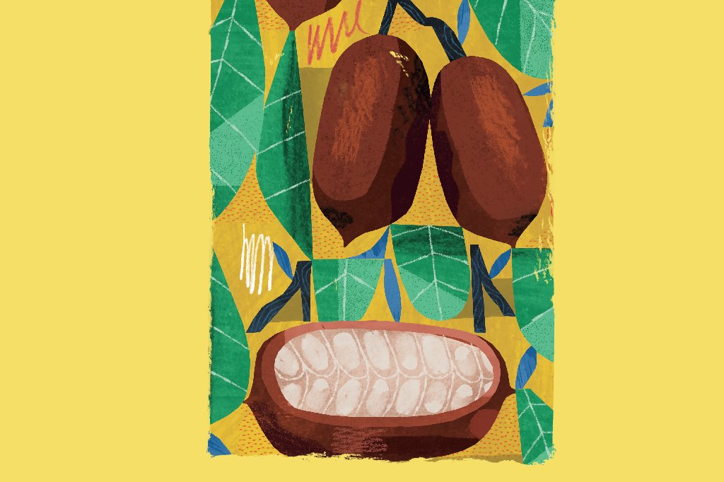 cupuacu-beneficios cupuacu-beneficios