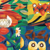 frutas-amazonicas-beneficios