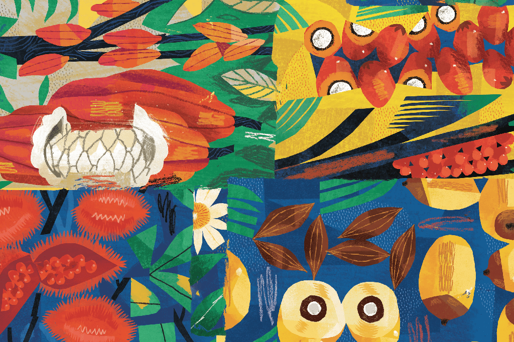 frutas-amazonicas-beneficios