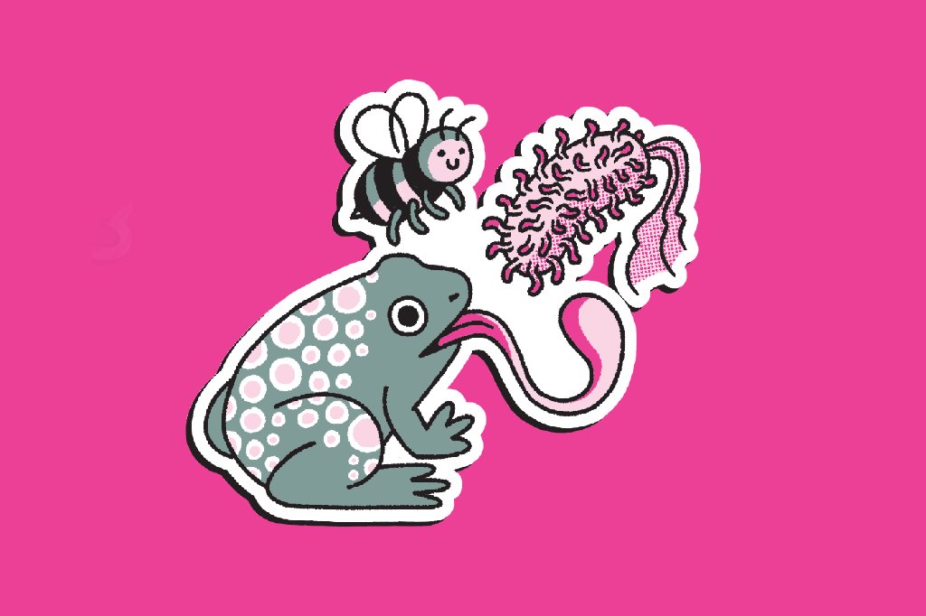 resistencia-antimicrobiana