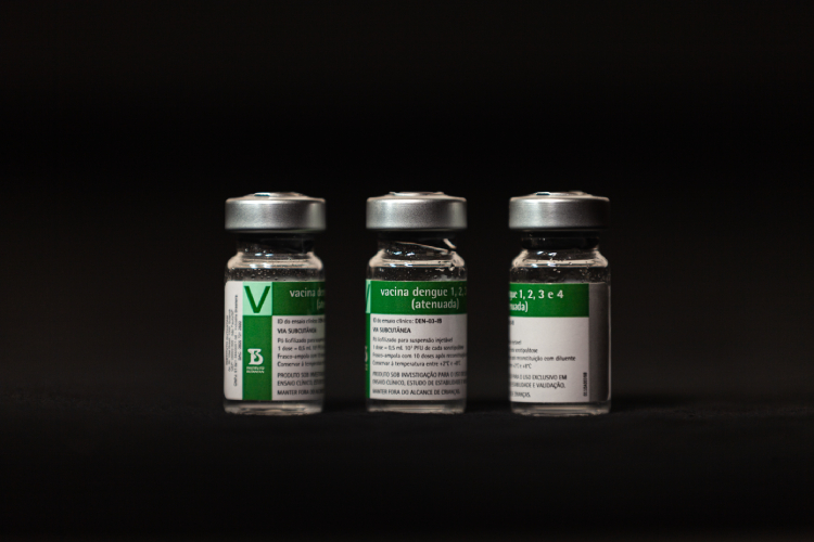 Vacina do Butantan contra a dengue: como funciona e quando deve estar disponível