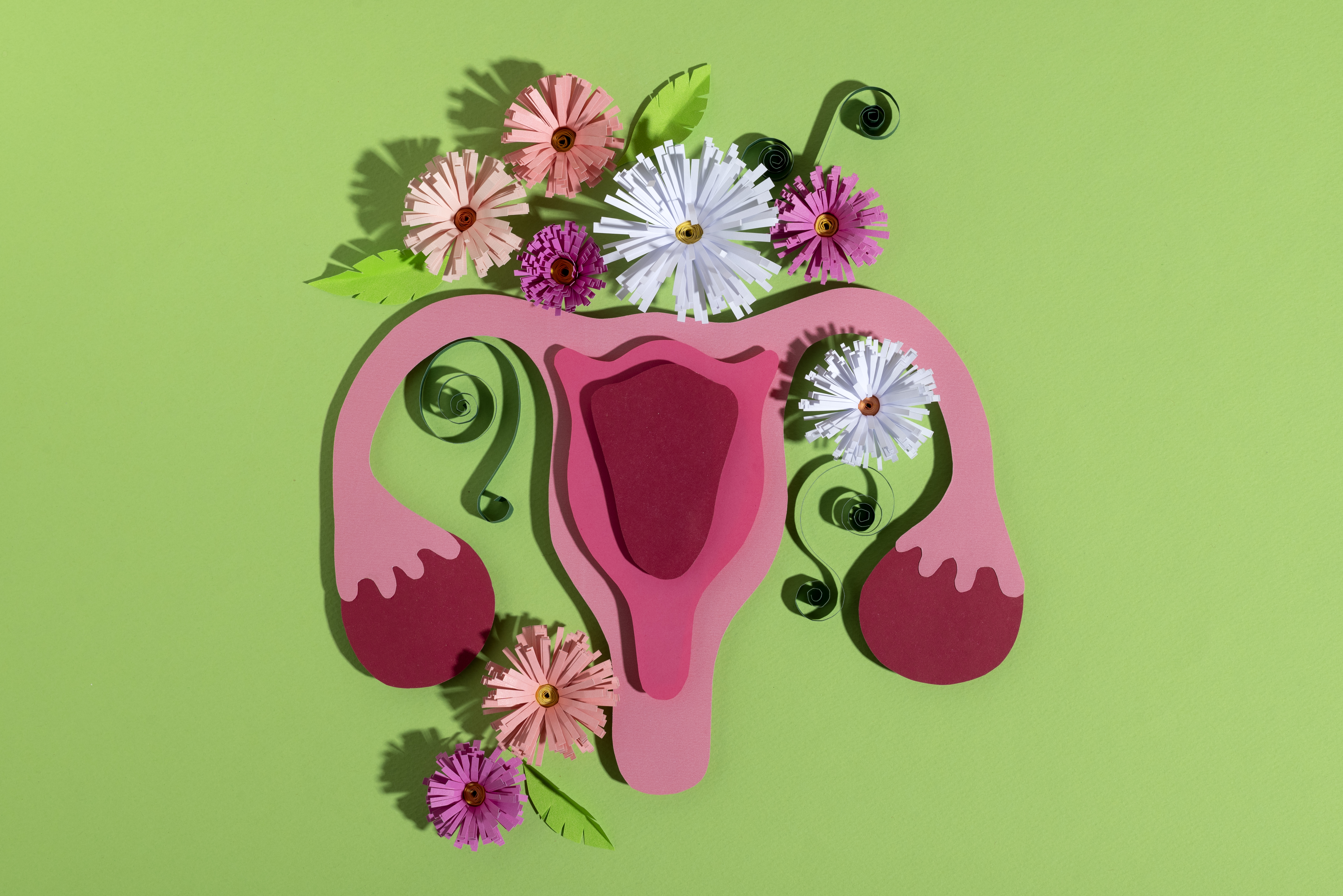 Janeiro verde é uma campanha de prevenção e conscientização sobre o câncer de colo do útero.