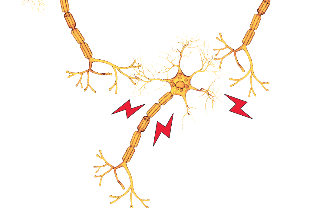 Em novo livro, neurologista conta casos extraordinários que revelam mistérios do cérebro humano