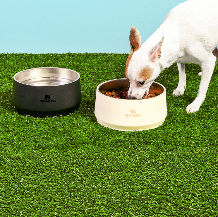 Copo Stanley para pets: marca lança potes térmicos para dar água e comida a cães e gatos
