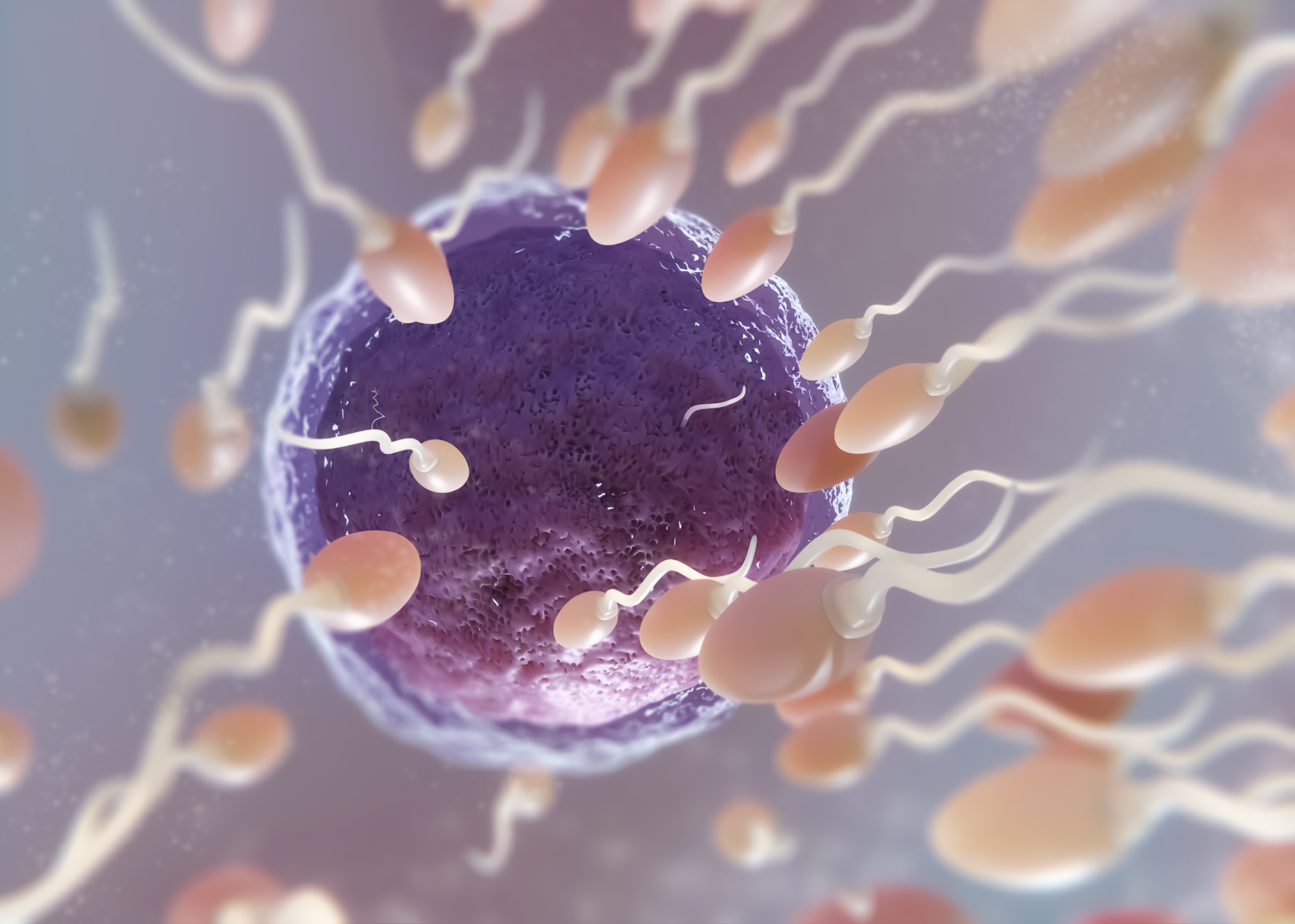 Fertilidade masculina em queda: o alerta global que ainda passa despercebido
