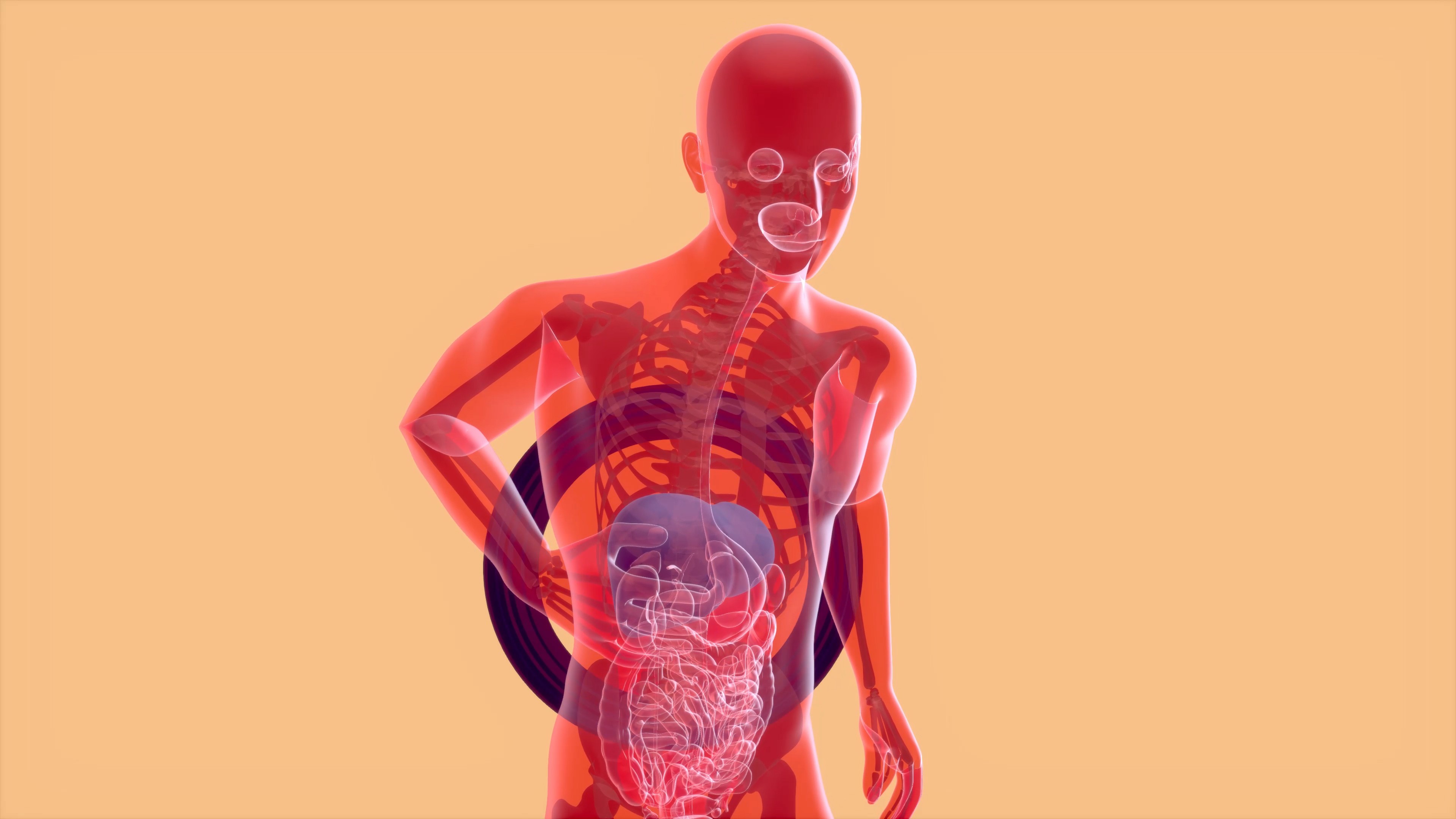 Aneurisma de aorta abdominal: a “bomba-relógio” silenciosa que pode ser