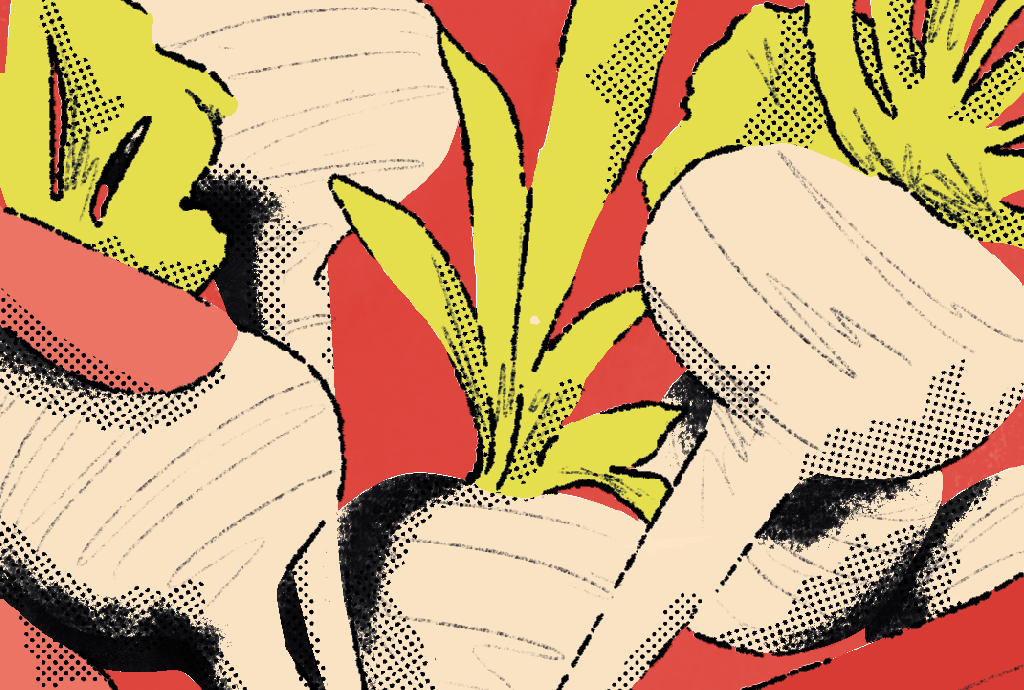 Ilustração abstrata de vegetais com folhas verdes-limão e raízes brancas-creme, sobre fundo vermelho. As raízes têm contornos pretos e textura de pontos pretos, simulando retículas de impressão.