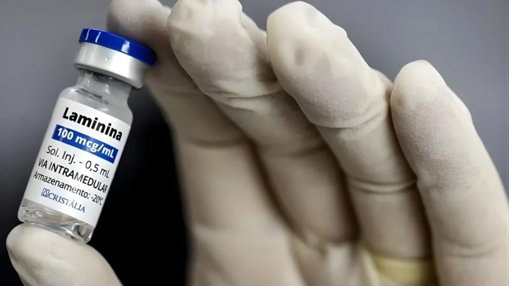 Polilaminina: estudo com humanos é publicado em revista científica
